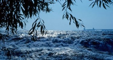 Niagara River above the
          escarpment, from Goat Island, ~1968.