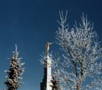 Frost/snow on trees
              behind temple