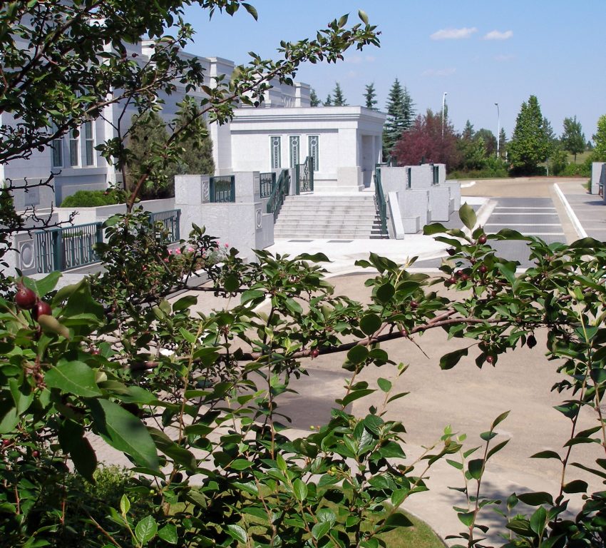 The completed enclosed portico from among the shrubs near the South grounds.