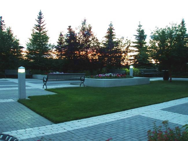 North grounds with the sunset peeking through the trees.